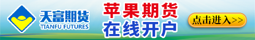天富期货