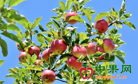 图片2