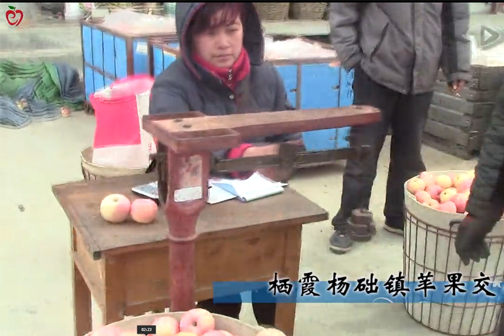 苹果丰产不丰收，果贱伤农声再起---栖霞杨础镇苹果交易实录 ()