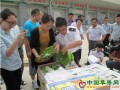 天津：检验检疫局严格把关进口水果 ()