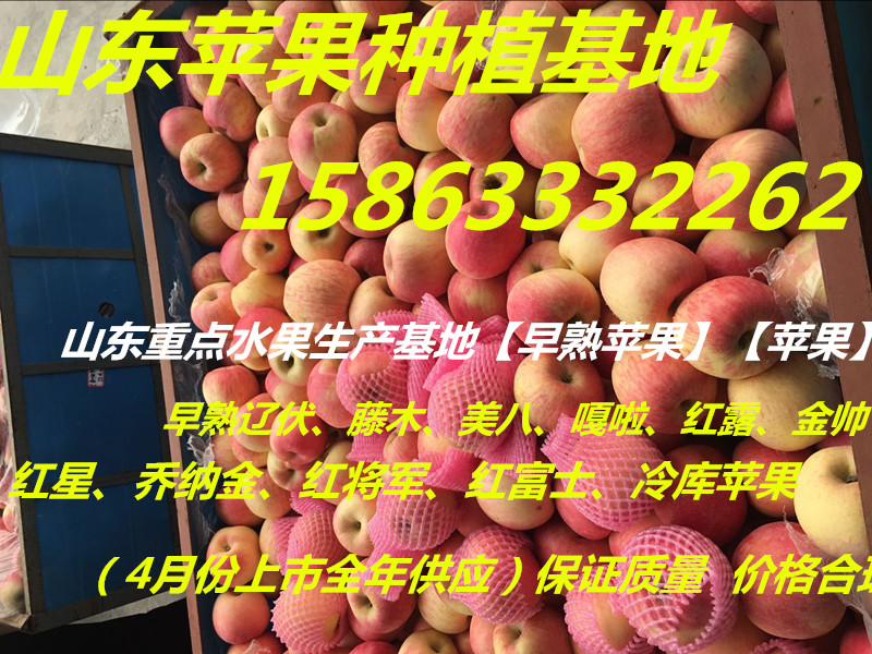 QQ图片20160225154233_副本