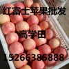 纸袋膜袋红富士苹果低价出售