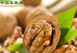 云南镇康县：核桃喜获丰收 ()