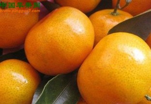 江西赣州：脐橙网络博览会暨农特产品展销会召开 ()