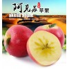 大量供应正宗阿克苏冰糖心、红富士