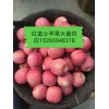 15265948318冷库红富士苹果大量供应