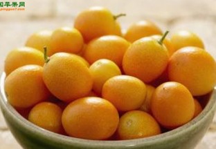 广西柳州：融安金橘发展迅速 ()