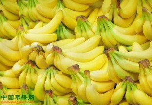 山东济南：香蕉价格上涨 ()