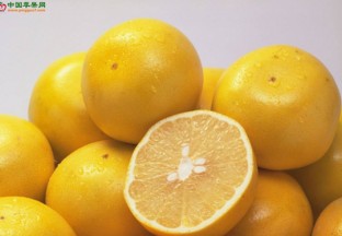 四川纳溪：柚子化身致富果 ()