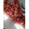 栖霞三级果大量出售电话13370937876