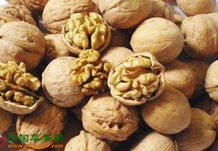河北唐山：核桃成功出口台湾 ()