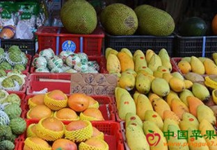 广东东莞：冬令水果扎堆上市 ()