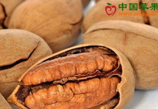 河南安阳：大力发展核桃产业脱贫致富 ()