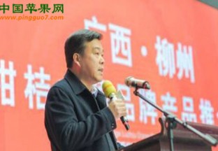 浙江杭州：柳州柑桔亮相杭州造物节 ()