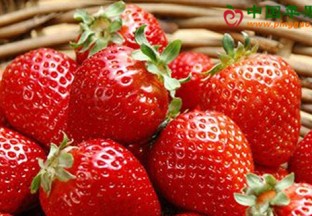 浙江建德：草莓产值超过31亿元 ()