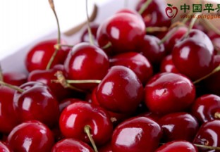 陕西宝鸡：反季水果畅销不愁卖 ()