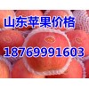 红富士苹果供应18769991603