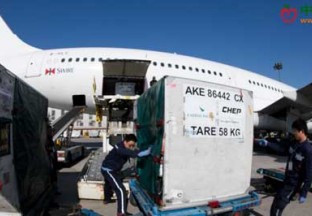 山东青岛：空港迎来首批进境水果 ()