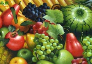 河北石家庄：推动水果深加工产业发展 ()