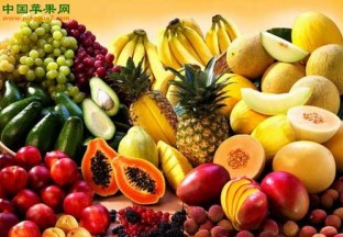 深圳口岸进口水果占全国四成以上 ()