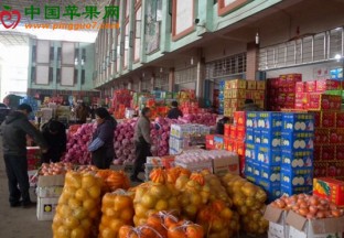 河北唐山：春节临近唐山水果热销 ()