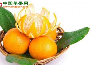 广西柑橘：需警惕“香蕉之痛” ()