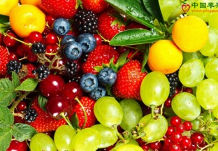 广东深圳：进口水果春节热销 ()