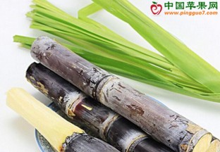 二月份吃什么水果最健康？ ()