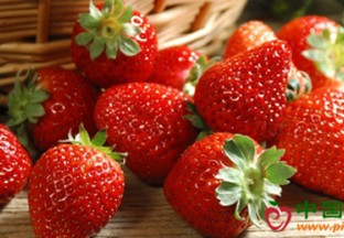 河北涿州：采摘游春节受热捧 ()