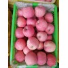 大量供应陕西红富士苹果