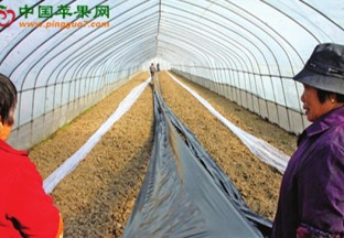 上海：吹响春耕农作新号角 ()