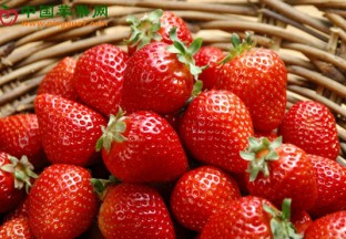 山东临沂：草莓价格同比下跌明显 ()