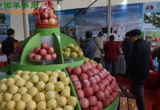 山西运城：倾力打造“中国果都” ()