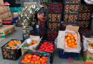 山东济宁：节后水果交易量价齐跌 ()