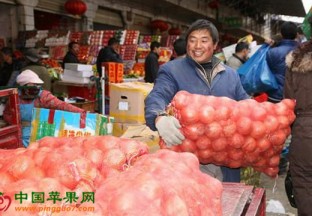 西藏拉萨：应季鲜果抢鲜上市 ()