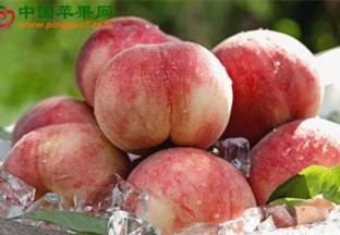 北京：平谷大桃入选特色农产品优势区 ()
