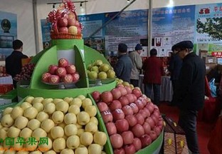 山西运城：巨资打造水果出口平台 ()