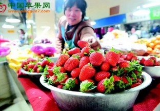 河南三门峡：草莓等鲜果受市场欢迎 ()