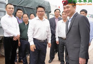 广西东兴：进境水果指定口岸通关试运营 ()