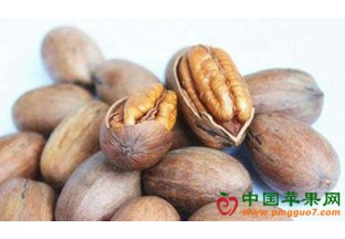 湖北秭归：大力推进核桃产业发展 ()