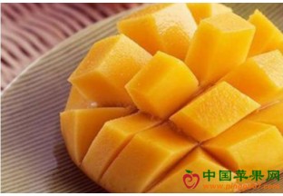海南三亚：国际芒果产业大会即将举行 ()