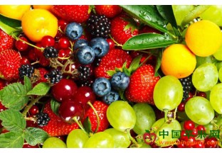 浙江宁波：2017年进口水果5821余万吨 ()