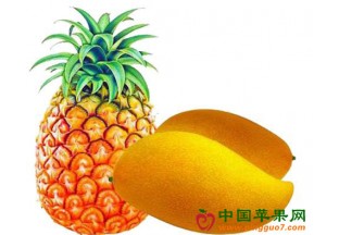 新疆库尔勒市：菠萝芒果销售良好 ()