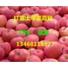 山东红富士苹果降价了