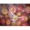 大量红富士苹果出售