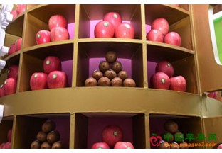 陕西苹果北京宣传推介周开幕 ()