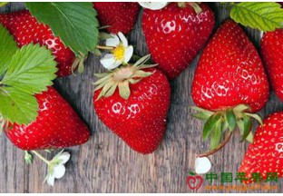 首届国际草莓品牌大会在江苏南京召开 ()