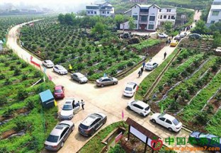 浙江慈溪：着力打造农旅结合都市园区 ()