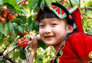 四川德昌：凉山樱桃节将于4月8日开幕 ()