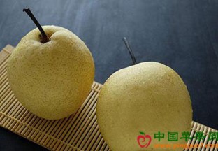 浙江慈溪：蜜梨再获国家农产品地理标志认证 ()